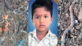 ఇంటి బయట పడుకున్న చిన్నారి.. ఒకేసారి దూసుకొచ్చిన రెండు పాములు..