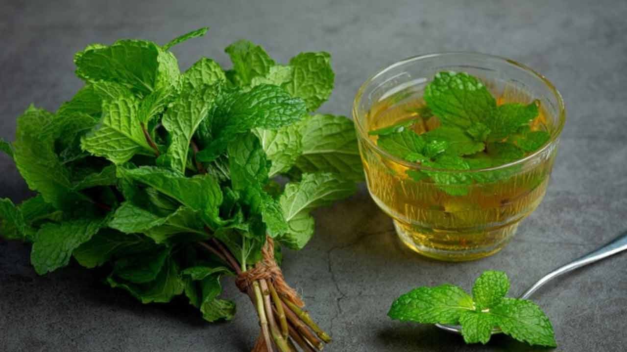 బరువు తగ్గడంలో సహాయకారి: మీరు బరువు తగ్గాలని ప్రయత్నిస్తుంటే, పుదీనా మీ ఆహారంలో తప్పనిసరిగా ఉండాలి. ఇది జీర్ణ ఎంజైములను ప్రేరేపించడం ద్వారా ఆహారంలోని పోషకాలను శరీరం గ్రహించేలా చేస్తుంది. జీవక్రియను (Metabolism) వేగవంతం చేస్తుంది. దీనివల్ల శరీరంలోని అదనపు కొవ్వు త్వరగా కరుగుతుంది.