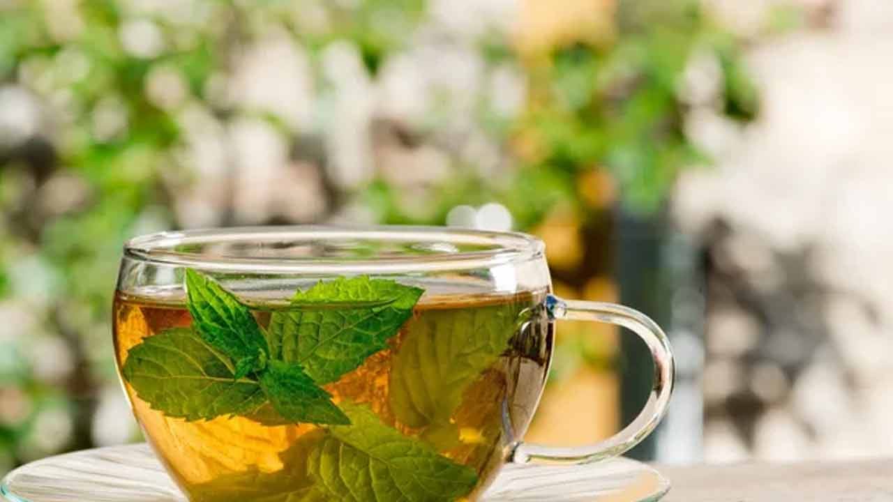 Mint Leaves