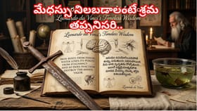 పని చేయని బుద్ధి ఇనుములా తుప్పు పడుతుంది..మోనాలిసా సృష్టికర్త
