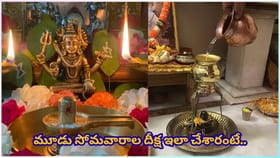 డబ్బు, ఆరోగ్యం, పెళ్లి సమస్యలా? మూడు సోమవారాలు ఈ శివ పరిహారం..