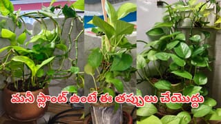 హోటల్ నుండి చెక్-అవుట్ చేస్తున్నారా? ఈ వస్తువులను మీతో తీసుకెళ్లవచ్చు.. ఎవరూ మిమ్మల్ని ఆపరు!