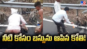 నీటి కోసం బస్సును ఆపిన కోతి.. మూగజీవాల వీడియో వైరల్