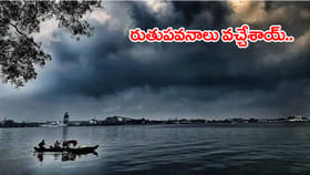 బంగాళాఖాతంలోకి ప్రవేశించిన రుతుపవనాలు.. వారంలో కేరళలోకి ఎంట్రీ