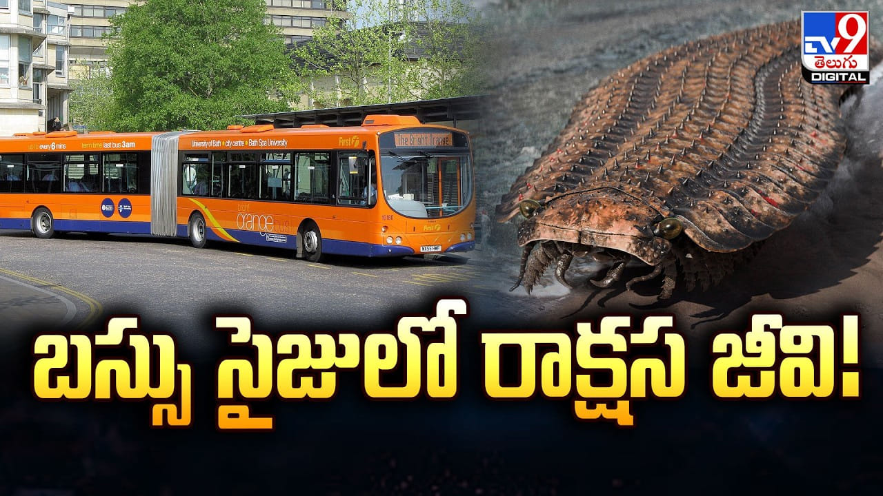 డైనోసార్ల కంటే ముందే పుట్టి ఇప్పటికీ బతుకుతున్న 5 జీవులు