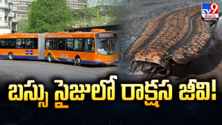 ఈదురు గాలుల ధాటికి.. 50 అడుగుల ఎత్తుకు ఎగిరిపడ్డ వ్యక్తి!