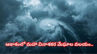 Viral Video: ఈ మహిళ ధైర్యానికి హ్యాట్సాఫ్ అనాల్సిందే.. షాపులోకి చొరబడ్డ దొంగలను ఎలా అడ్డుకున్నదో చూడండి..