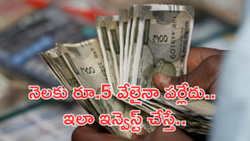 నెలకు రూ.5 వేలైనా పర్లేదు.. ఇలా ఇన్వెస్ట్‌ చేస్తే..