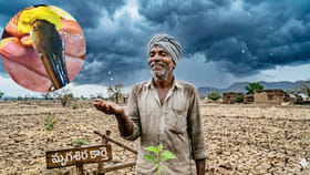 మృగశిర కార్తె ఎప్పుడు? చేప మందు ఏ సమయంలో తీసుకోవాలి అంటే?