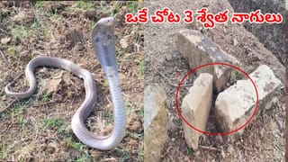 యాదగిరిగుట్ట శ్రీ లక్ష్మీ నరసింహస్వామి దేవస్థానంకు నేషనల్ రికగ్నిషన్.. దేనికో తెలుసా?