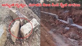 తవ్వకాలు జరుపుతుండా మెరుస్తూ కనిపించాయి.. జేసీబీ ఆపి చూడగా..