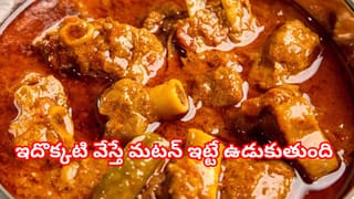 Body Odor in Summer: చమట వాసనతో విసిగిపోయారా? స్నానం నీటిలో ఇది చిటికెడు కలపండి