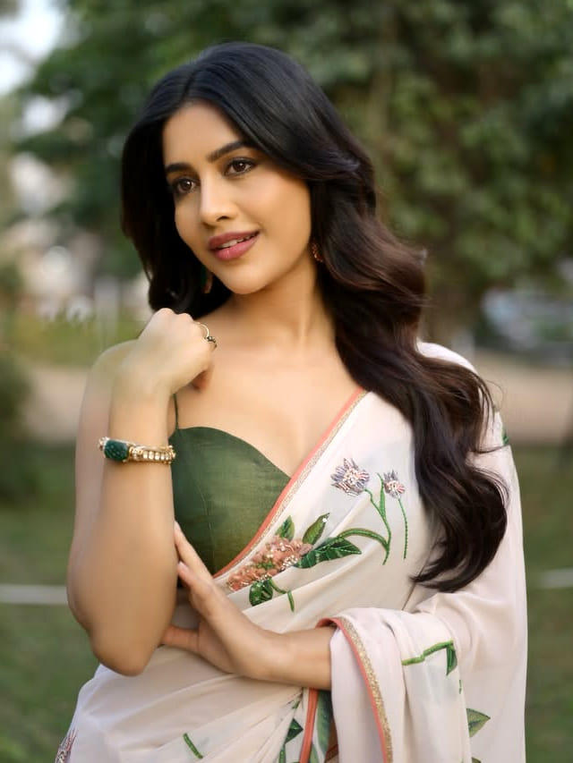 రేస్‌లో వెనకబడుతున్న నభా నాటేష్ .. స్వయంభు పైనే ఆశలు