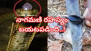 Motivation: నోరు మంచిదైతే.. ఊరు కూడా మంచిదవుతుంది! ఇలా ఎందుకంటారో తెలుసా..?