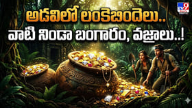 అడవిలో లంకెబిందెలు.. వాటి నిండా బంగారం, వజ్రాలు..