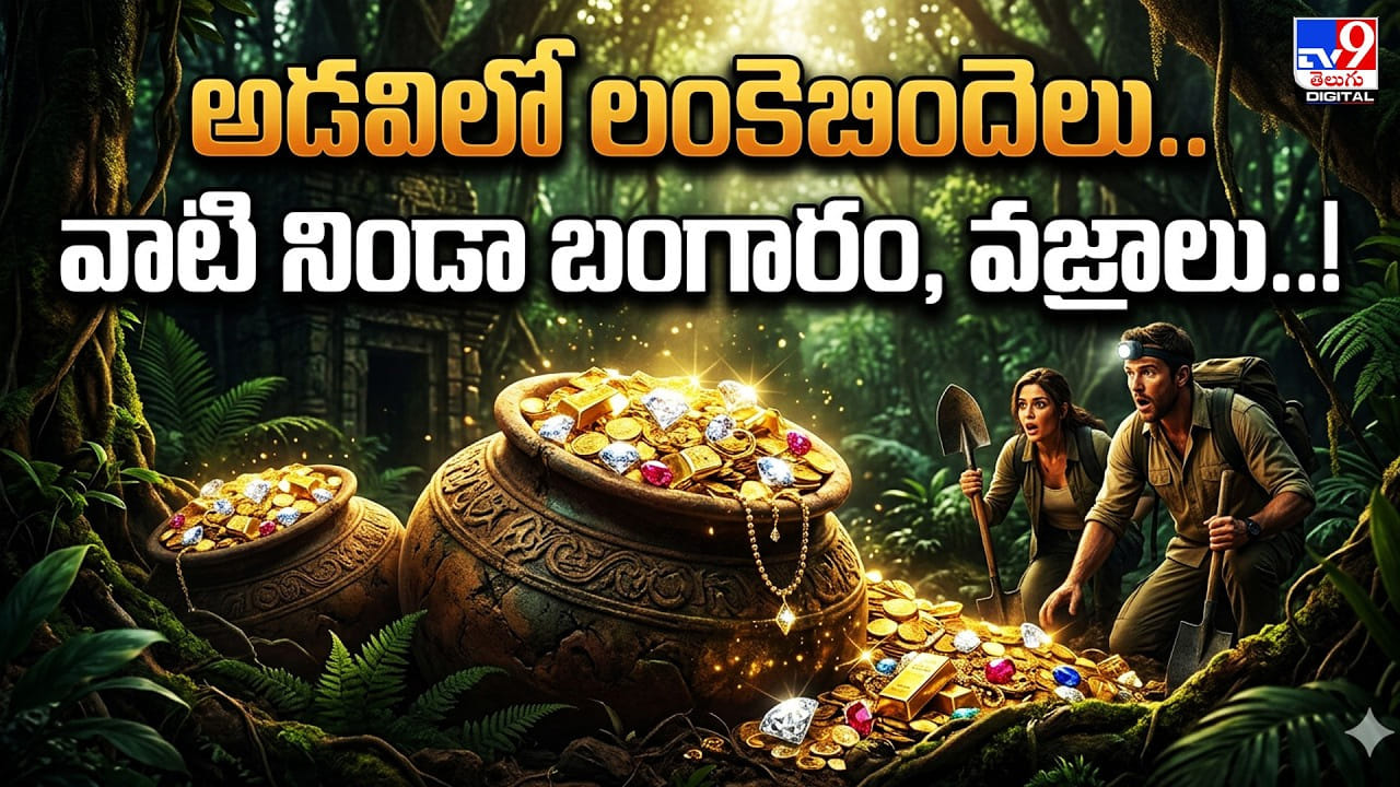 అడవిలో లంకెబిందెలు.. వాటి నిండా బంగారం, వజ్రాలు.. అడవిలో లంకెబిందెలు.. వాటి నిండా బంగారం, వజ్రాలు..