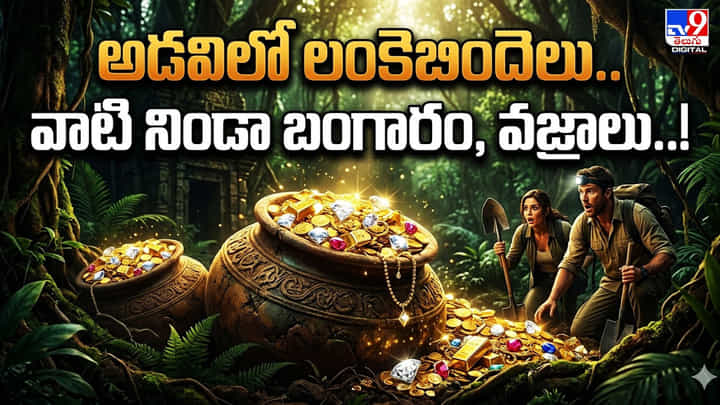 అడవిలో లంకెబిందెలు.. వాటి నిండా బంగారం, వజ్రాలు.. అడవిలో లంకెబిందెలు.. వాటి నిండా బంగారం, వజ్రాలు..
