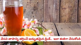 వేసవి తాపాన్ని తగ్గించే అద్భుతమైన డ్రింక్.. ఇలా ఈజీగా చేసుకోండి