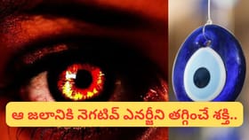 ఎంతటి నరదిష్టినైనా ఎదుర్కొనే రహస్య పరిహారం ఇదే!