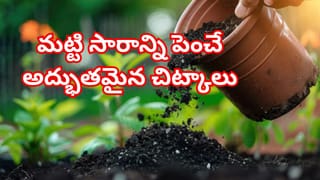 Chanakya Niti: మీ చుట్టూ జనం ఉన్నా ఒంటరిగా ఫీల్ అవుతున్నారా? అయితే మీలోని ఈ 5 అలవాట్లే కారణం!