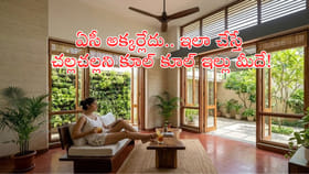 ఏసీ లేదా పర్లేదు.. ఇంటిని ఇలా కూల్‌గా చేయొచ్చు!