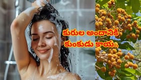 కుంకుడుకాయల వల్ల కలిగే అద్భుత ప్రయోజనాలు తెలిస్తే విడిచిపెట్టరు..