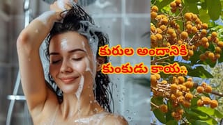 ఎండాకాలం చెమట వాసనను తరిమికొట్టే మ్యాజిక్ టిప్స్.. స్నానం చేసే నీటిలో ఇవి కలిపితే చాలు..