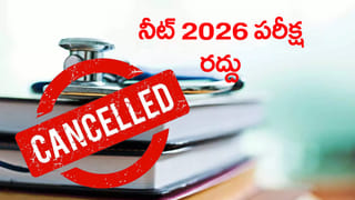 Watch: పొట్టేళ్ల పోటీలతో దద్దరిల్లిన మైదానం.. ఇలాంటి సీన్ మీరెప్పుడూ చూసుండరు!