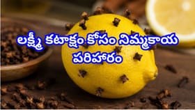 ఇంట్లో నెగటివ్ ఎనర్జీతో ఇబ్బంది పడుతున్నారా? లక్ష్మీ కటాక్షం కోసం