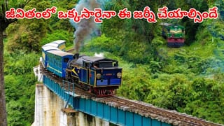Mango: మామిడి పండ్లను ప్రిజ్‌లో పెట్టి తినడం సేఫేనా.. నిపుణులు ఇచ్చే సలహా ఏంటి!