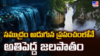 Hair Clips: హెయిర్ క్లిప్స్‌తో జుట్టుకు ప్రమాదం! నిపుణులు చెప్పిన అసలు నిజం ఇదే