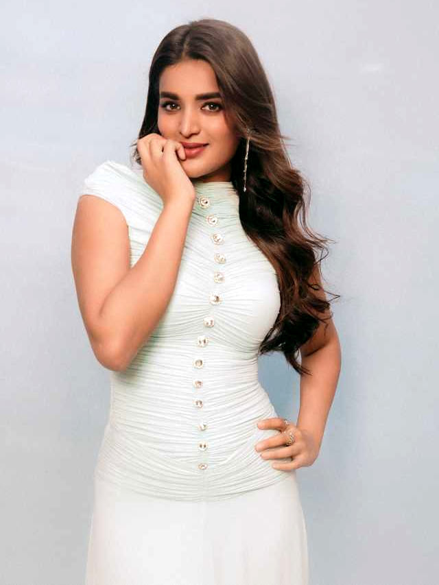 తమిళ్ ఇండస్ట్రీ పై ఫోకస్ పెడుతున్న నిధి అగర్వాల్.?