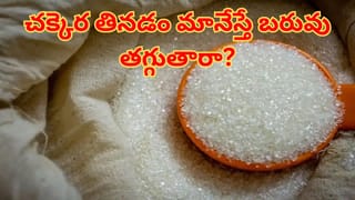 టాటూ వేయించుకోవడం ఇష్టమా? మీ పర్సనాలిటీకి ఏది సెట్ అవుతుందో తెలుసా