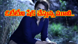 Vijay TVK-Trisha: విజయ్-త్రిషల పెళ్లి రూమర్లు.. వీరిద్దరి మధ్య ఏజ్ గ్యాప్ ఎంతో తెలుసా?