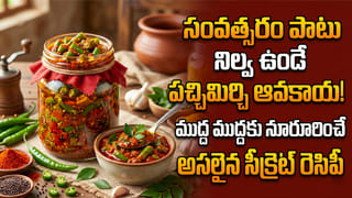 కడుపును క్లీన్ చేసే పుల్లటి యాపిల్ పచ్చడి.. ఇంకా చపాతీలు, దోశల్లోకి ఈ చట్నీ అదుర్స్