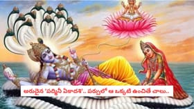 అరుదైన 'పద్మినీ ఏకాదశి'.. పర్సులో ఆ ఒక్కటి ఉంచితే చాలు..