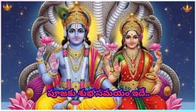 పద్మిని ఏకాదశి.. మే 26నా 27నా? లక్ష్మీ కటాక్షం కోసం పూజా విధానం..
