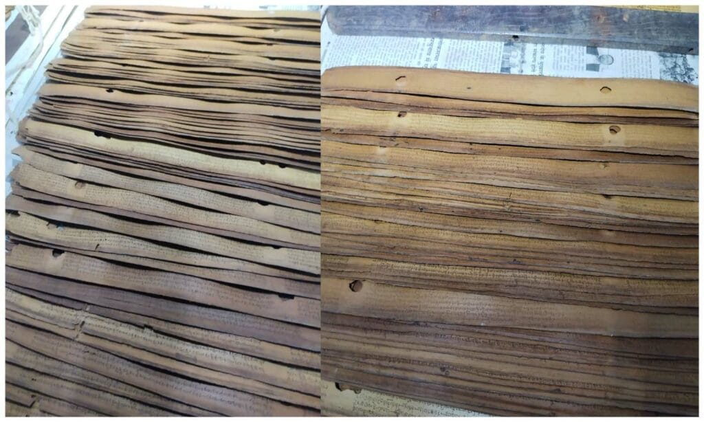 Palm Leaf Manuscripts