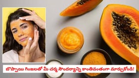 బొప్పాయి గింజలతో మీ చర్మ సౌందర్యాన్ని కాంతివంతంగా మార్చుకోండి!