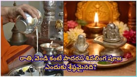 పాదరస శివలింగ పూజ చేస్తే 48 రోజుల్లో కష్టాలు దూరం.. శివుడి అపార..