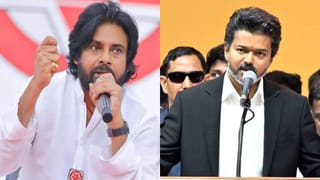 Andhra News: ఉదయానే పొలం పనులకు వెళ్లిన తల్లిదండ్రులు.. ఇంటికొచ్చి చూడగా..