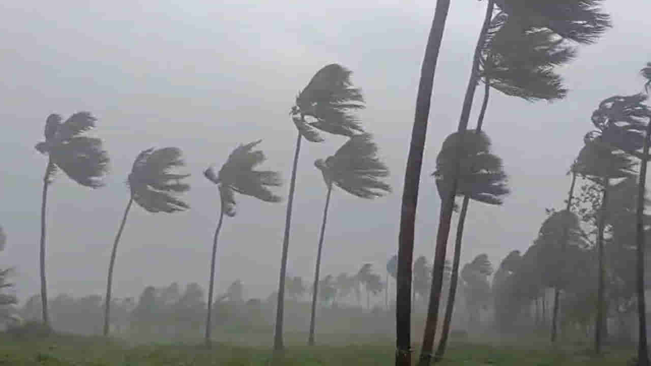 మినీ హుదూద్..! అంతా నిమిషాల్లోనే జరిగింది.. ఒక్కసారి ఈ వీడియో చూస్తే గజ గజే..