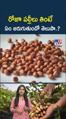 Peanuts; రోజూ పల్లీలు తింటే ఏం జరుగుతుందో తెలుసా..?