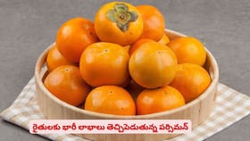రైతులకు భారీ లాభాలు తెచ్చిపెడుతున్న పర్సిమన్