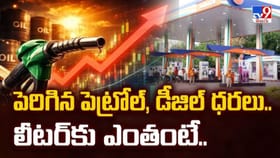 దేశంలో మరోసారి భారీగా పెరిగిన పెట్రోల్, డీజిల్ ధరలు