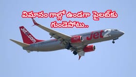 30,000అడుగుల ఎత్తులో విమానం.. గాల్లో ఉండగానే పైలట్‌కు గుండెపోటు..