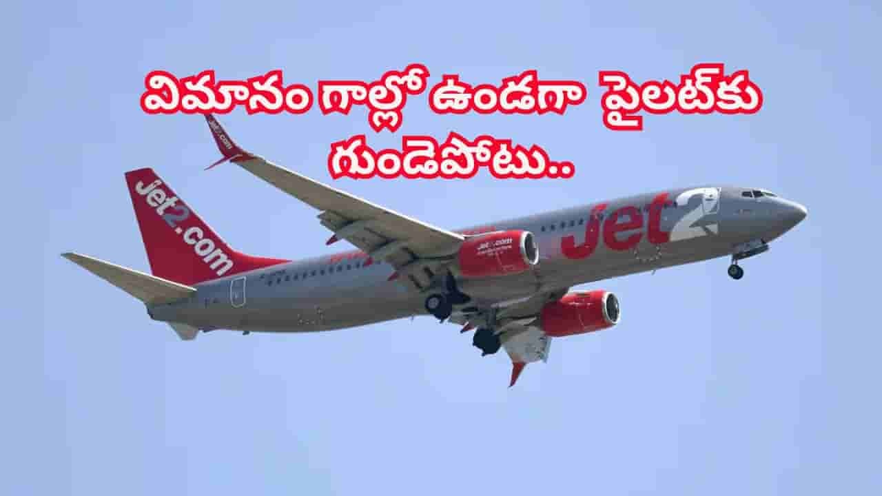30,000అడుగుల ఎత్తులో విమానం.. గాల్లో ఉండగానే పైలట్కు గుండెపోటు.. ప్రయాణికుల పరిస్థితి ఎలా ఉందంటే..