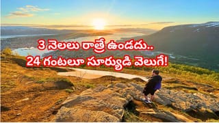 చెత్తలో పడేయాలనుకున్న కారు.. చివరికి రూ.47 లక్షల అదృష్టం తెచ్చింది!