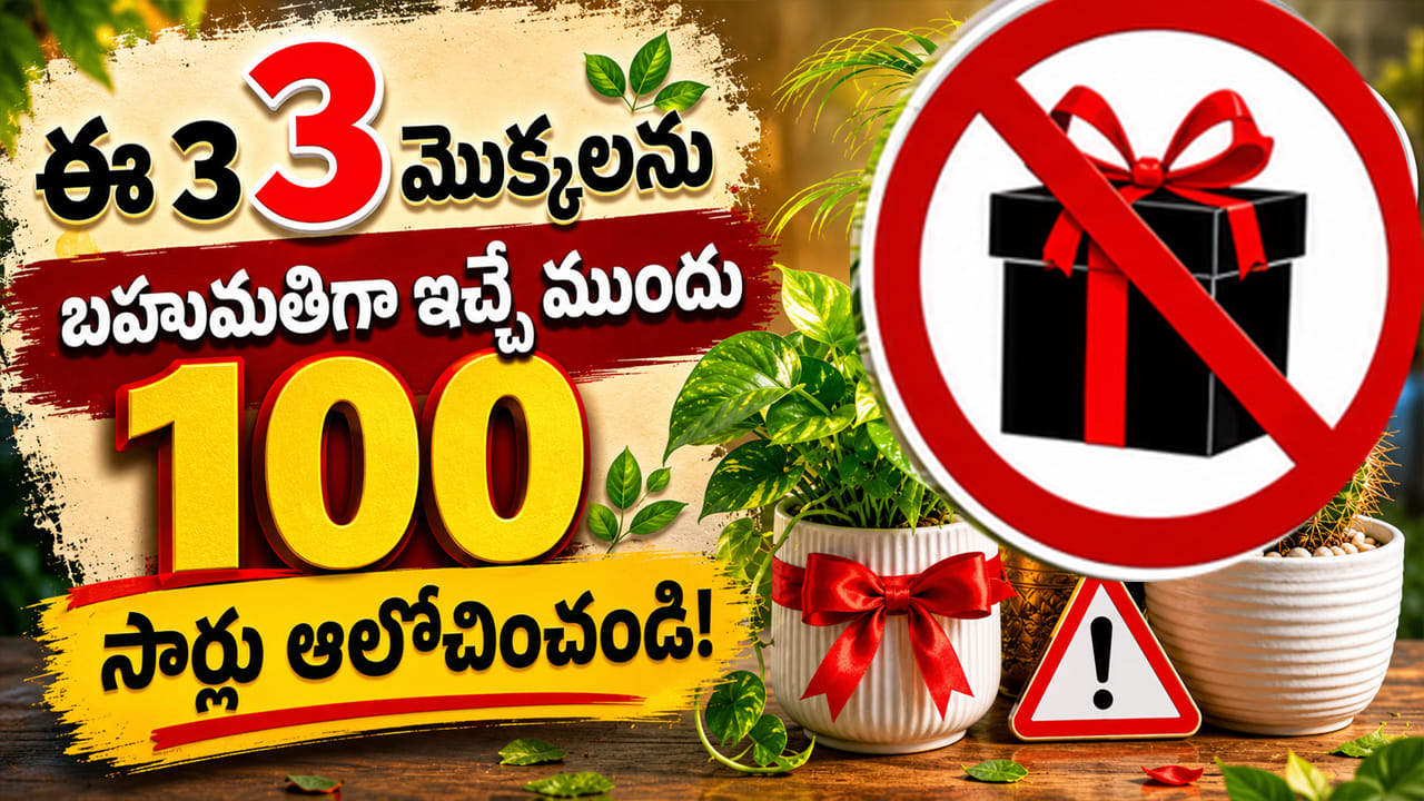 Plants Gifting Vastu