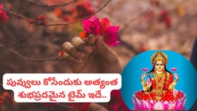 లక్ష్మీ కటాక్షం తగ్గిపోతుందా..? రాత్రి పువ్వులు కోయడంపై ఆశ్చర్యకర